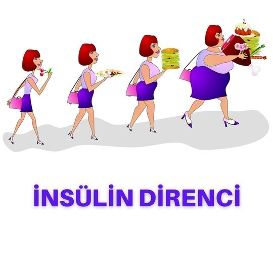 Insulin resistance and obesity